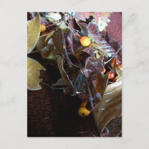 Cartão Postal Folhas de Fallen