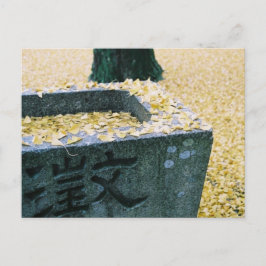 Cartão Postal Folhas de Ginkgo: Saijo, Japão