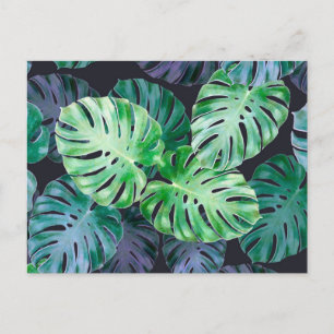 Cartão Postal Folhas de Monstera Tropicais