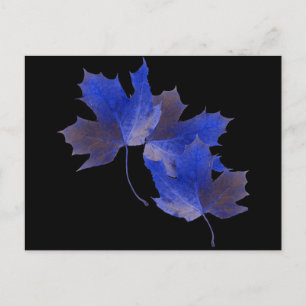 Cartão Postal Folhas de outono Azul