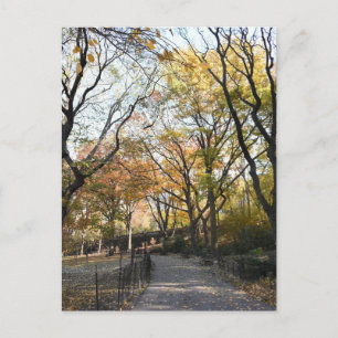 Cartão Postal Folhas de Outono da Natureza Fotografia de Árvore