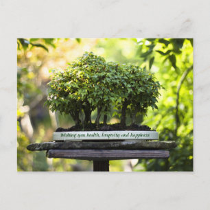Cartão Postal Folhas de Pote da Floresta Verde de Bonsai
