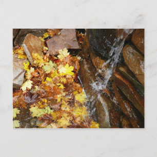Cartão Postal Folhas de queda na natureza das cascata III outono