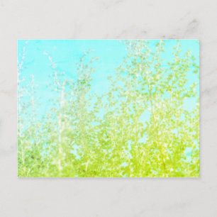 Cartão Postal Folhas de Saltbush Quadro Minimalista de Postais