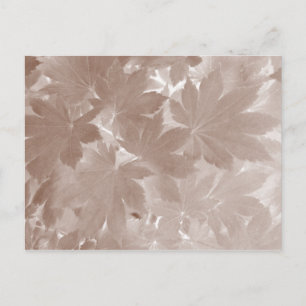 Cartão Postal Folhas do Autumn Maple