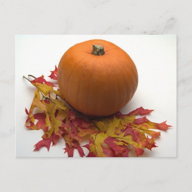 Cartão Postal Folhas E Bombas (Frente)