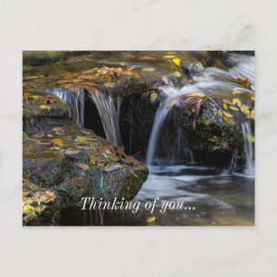 Cartão Postal Folhas E Cachoeiras