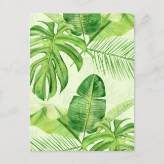 Cartão Postal Folhas Tropicais Exóticas Grandes Verdes