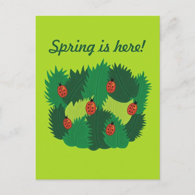 Cartão Postal Folhas Verdes E Primavera De Damybugs Estão Aqui (Frente)