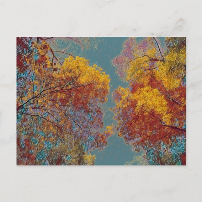 Cartão Postal Folhas Vermelhas (Frente)