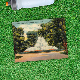 Cartão Postal Fonte no Forsyth Park Savannah GA Histórico