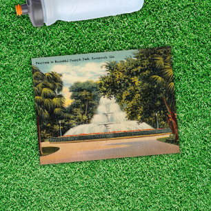 Cartão Postal Fonte no Forsyth Park Savannah GA Histórico