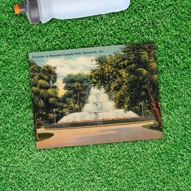 Cartão Postal Fonte no Forsyth Park Savannah GA Histórico (Criador carregado)