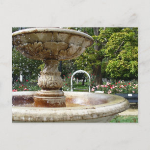 Cartão Postal Fonte no Parque