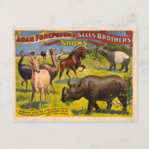 Cartão Postal Forepaugh e vende animais maravilhosos Poster de c
