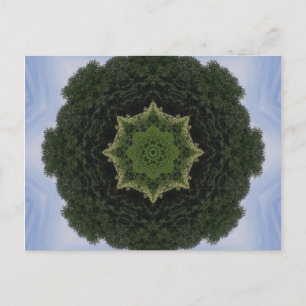Cartão Postal Forest Mandala