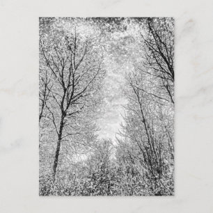 Cartão Postal Forest Snow Art