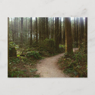 Cartão Postal Forest Walk