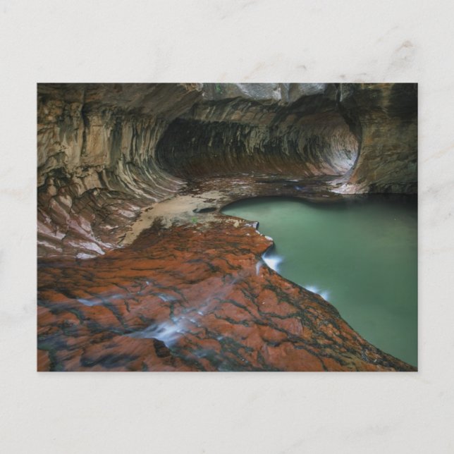 Cartão Postal Fork Esquerdo | Zion National Park, Utah (Frente)