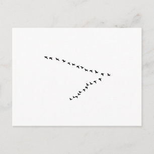 Cartão Postal Formação "V" dos Gansos Voadores