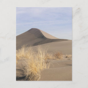Cartão Postal Formações de dunas de areia. Parque Estadual Brune