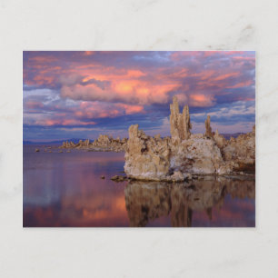 Cartão Postal Formações de Tufa no Lago Mono
