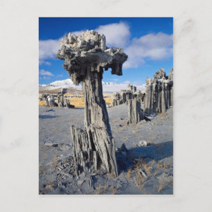 Cartão Postal Formações Sand tufa, Mono Lake, Califórnia, EUA
