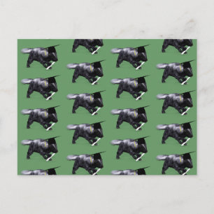 Cartão Postal Formando Skunk