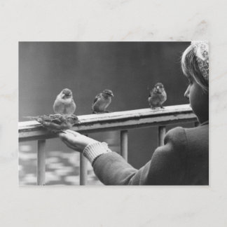 Cartão Postal Formar uma fila ordenada