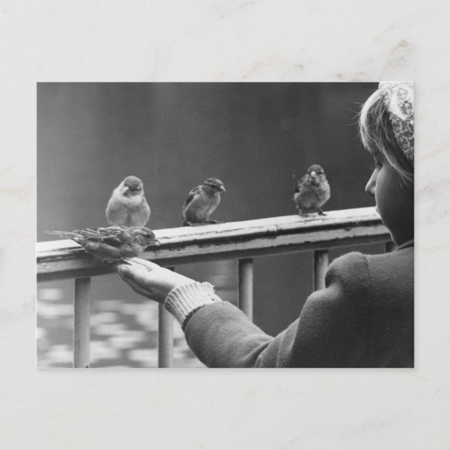 Cartão Postal Formar uma fila ordenada (Frente)