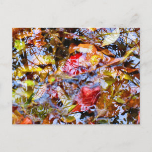 Cartão Postal Formas de Folhas Coloridas Reflexos de Árvores na