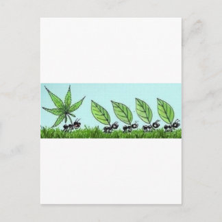 Cartão Postal formiga colocada