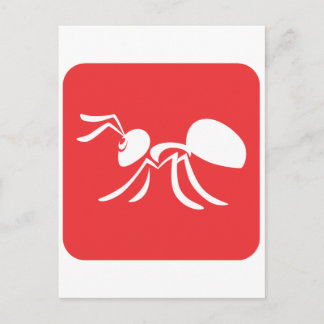 Cartão Postal Formiga Simples