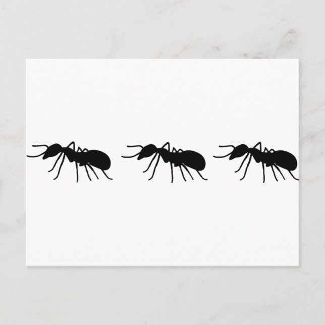 Cartão Postal Formigas (Frente)