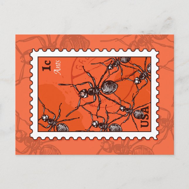 Cartão Postal Formigas (Frente)