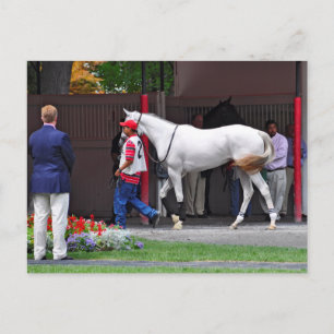 Cartão Postal Formulário Ajustado Preenchido por Tapit