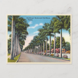 Cartão Postal Fort Myers, Florida MacGregor Boulevard