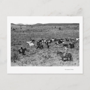 Cartão Postal Fort Rock, Oregon Cowboy no Jardim do Diabo