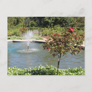 Cartão Postal Fort Worth Garden Fountain
