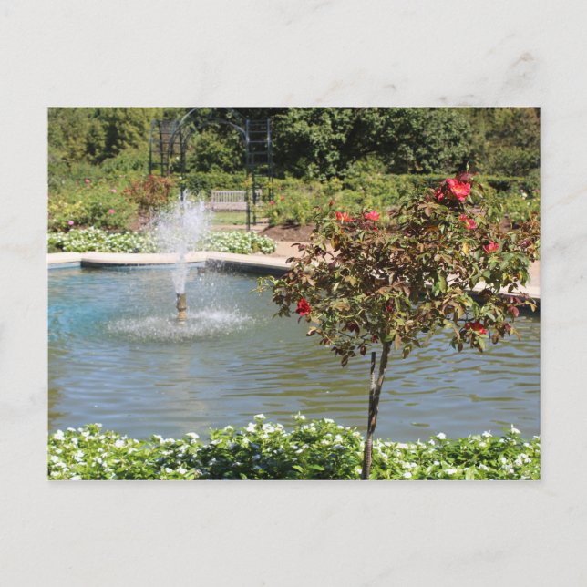 Cartão Postal Fort Worth Garden Fountain (Frente)