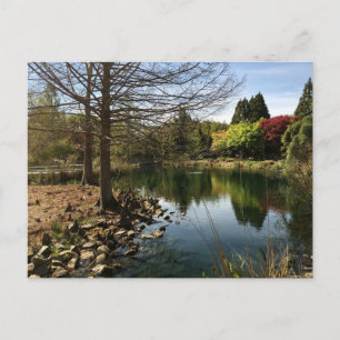 Cartão Postal Foto adorável de um lago