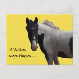 Cartão Postal Foto Amarela de Pônei Pintado Piebald