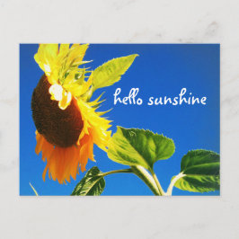 Cartão Postal Foto Amarelo de girassol Olá, Escuridão do Sol