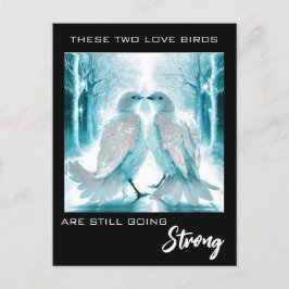 Cartão Postal *~* FOTO Aniversário AP54 Absract  Pássaros do Amo