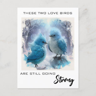 Cartão Postal *~* FOTO Aniversário Fluffy Love Birds AP54