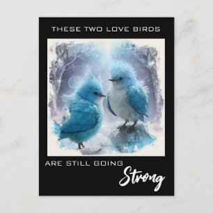 Cartão Postal *~* FOTO AP54 Aniversário Pássaros de Amor Fofinho