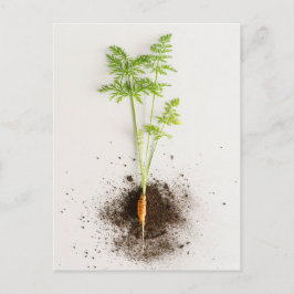 Cartão Postal Foto botânica minimalista de cenoura broto