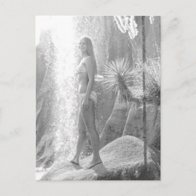 Cartão Postal Foto da floresta na cidade do Panamá, Bikini (Frente)