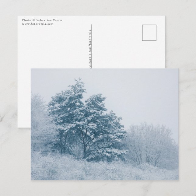 Cartão Postal Foto da Forest Winter Nature (Frente/Verso)