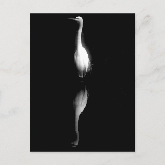 Cartão Postal Foto da grua branca e preta (Frente)